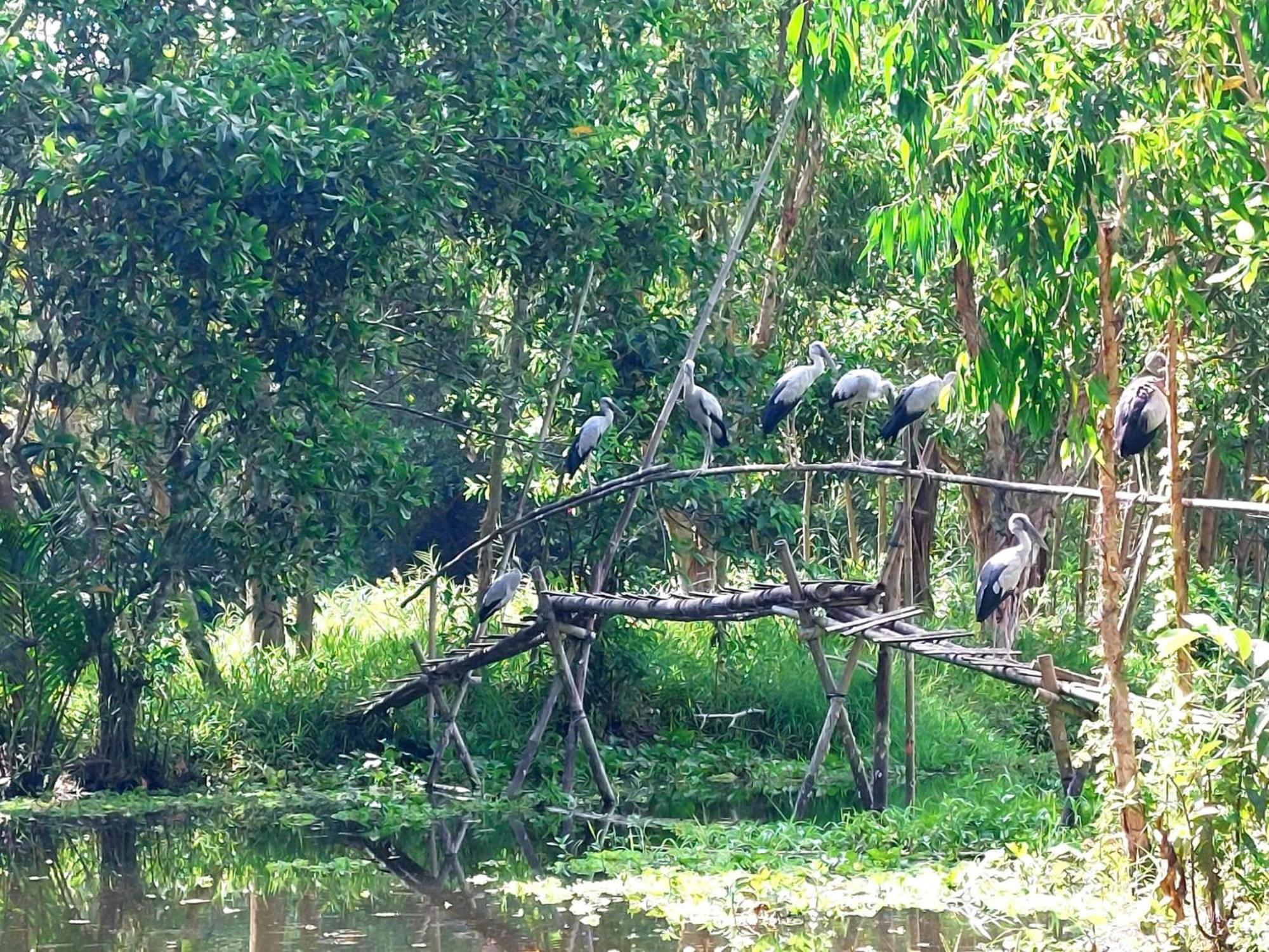 Tran Phu Riverside House Can Tho Dış mekan fotoğraf